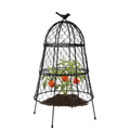 Leather Village chicken wire plant cloches heavy duty pack