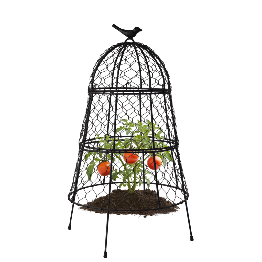 Heavy-Duty Chicken Wire Plant Cloches - Pack of 6 Leather Village