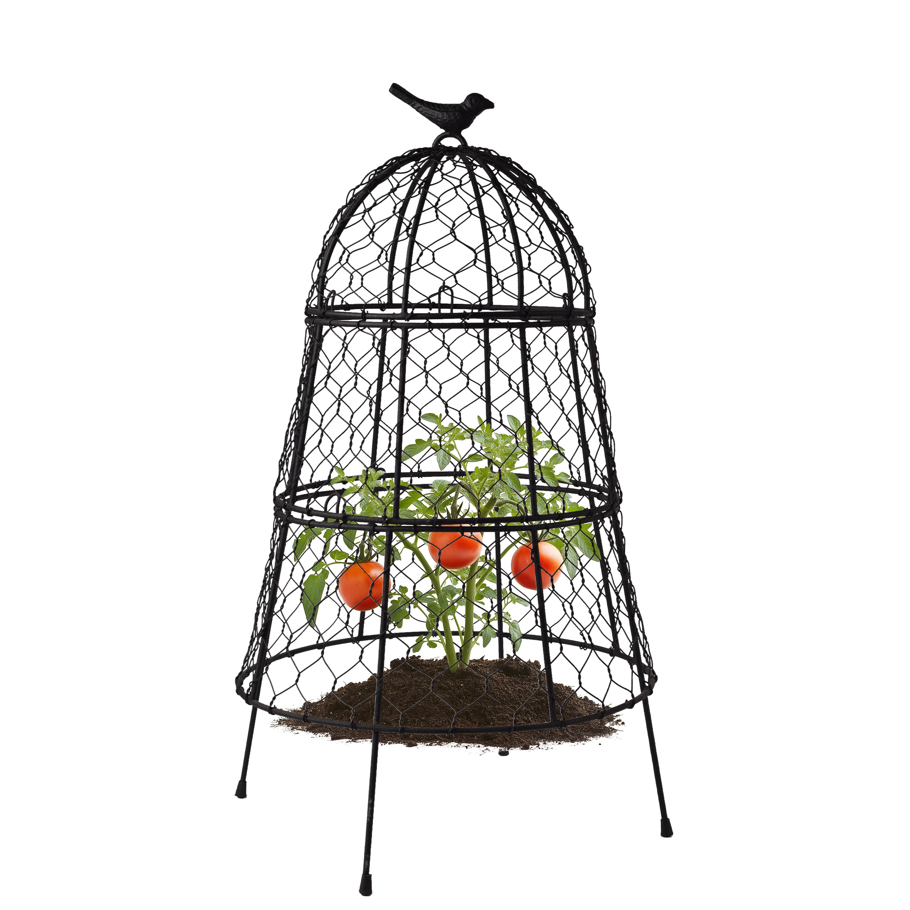 Heavy-Duty Chicken Wire Plant Cloches – Rustproof Garden Protectors and Plant Cages for Vegetables and Flowers – Safeguard Plants from Deer and Critters – 20” x 12”