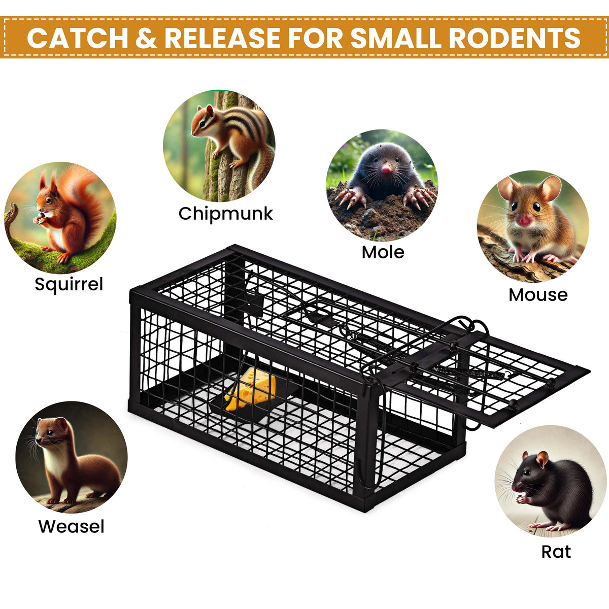 Rat Traps Humane Live Mouse Vole Chipmunk Trap Cage for Indoor and Outdoor (Black)