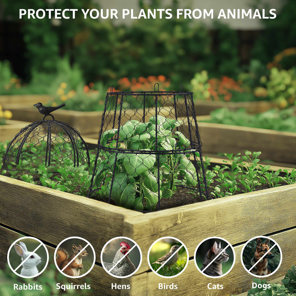 Heavy-Duty Chicken Wire Plant Cloches - Pack of 6 Leather Village