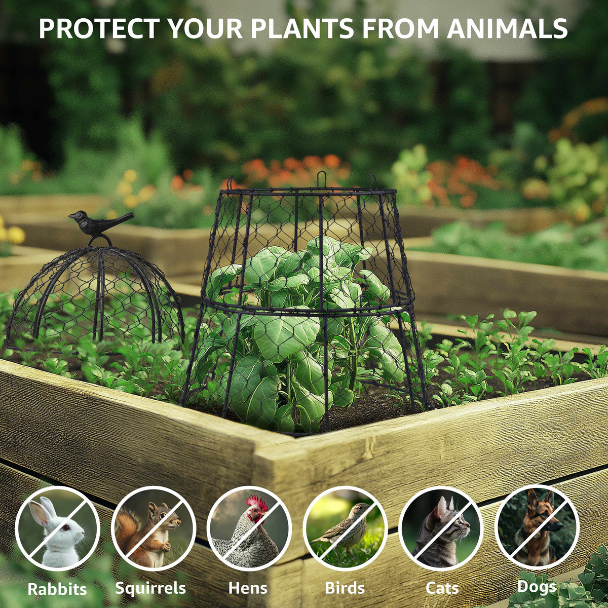 Heavy-Duty Chicken Wire Plant Cloches – Rustproof Garden Protectors and Plant Cages for Vegetables and Flowers – Safeguard Plants from Deer and Critters – 20” x 12”