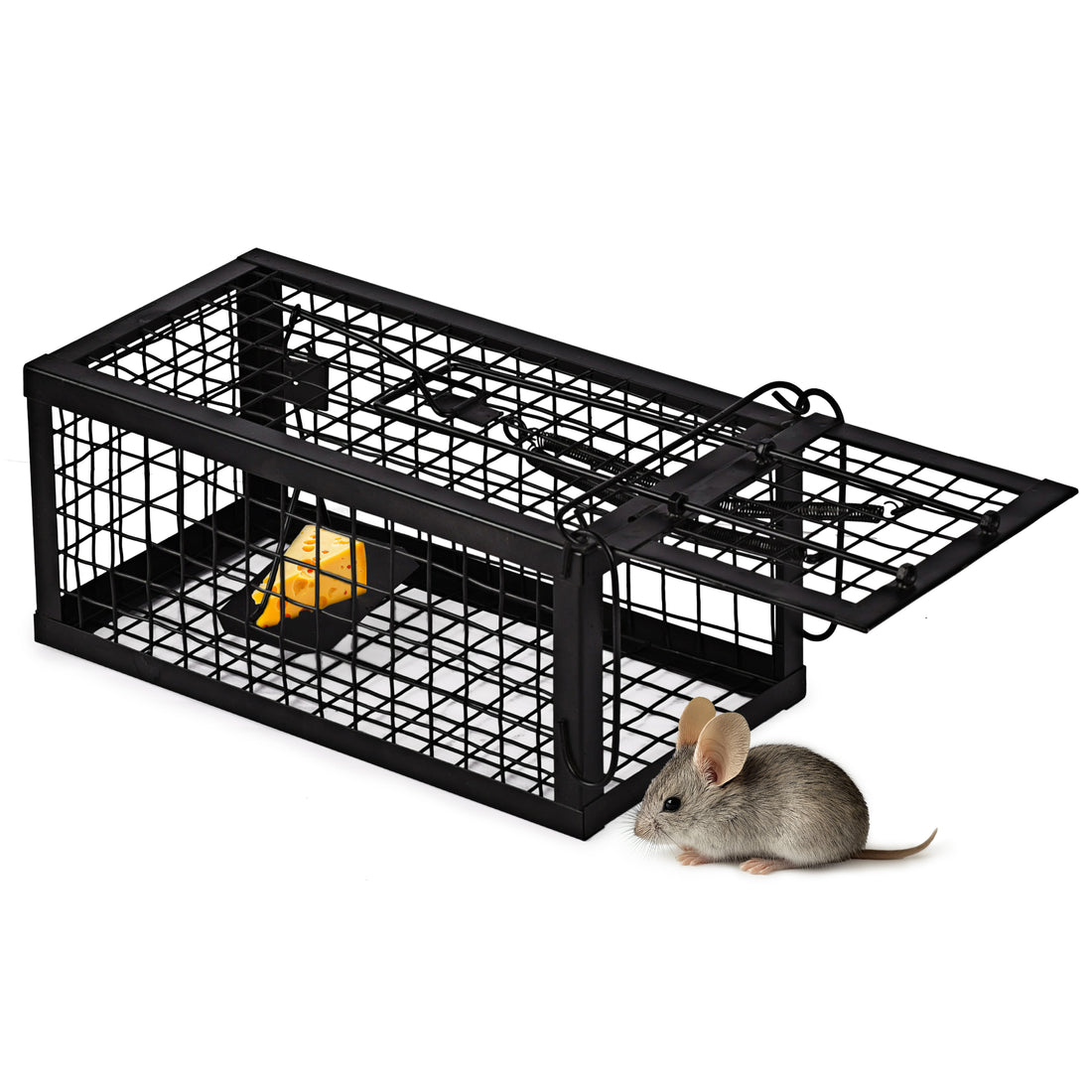 Rat Traps Humane Live Mouse Vole Chipmunk Trap Cage for Indoor and Outdoor (Black)