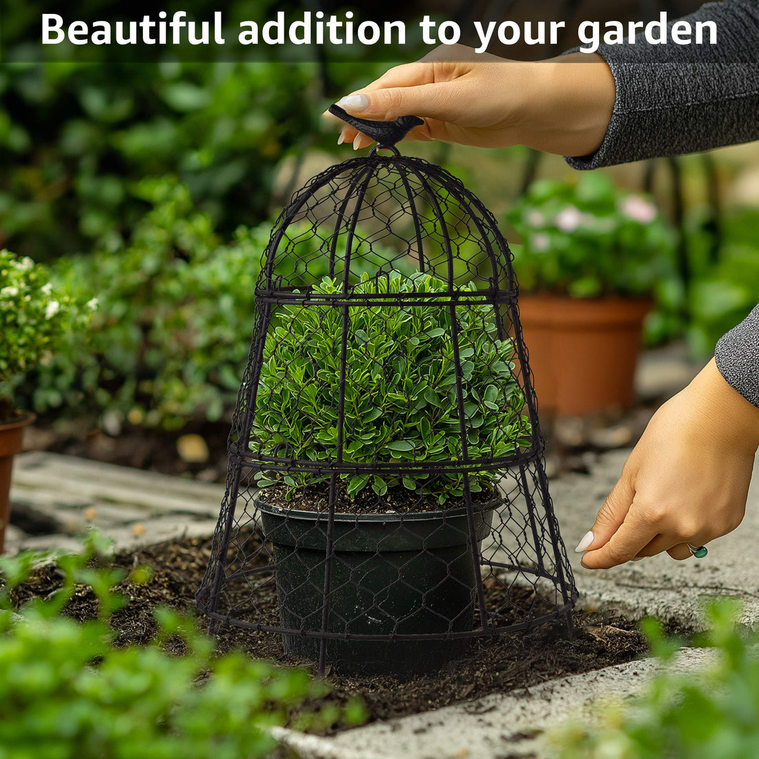 Heavy-Duty Chicken Wire Plant Cloches – Rustproof Garden Protectors and Plant Cages for Vegetables and Flowers – Safeguard Plants from Deer and Critters – 20” x 12”