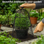 Heavy-Duty Chicken Wire Plant Cloches - Pack of 6 Leather Village