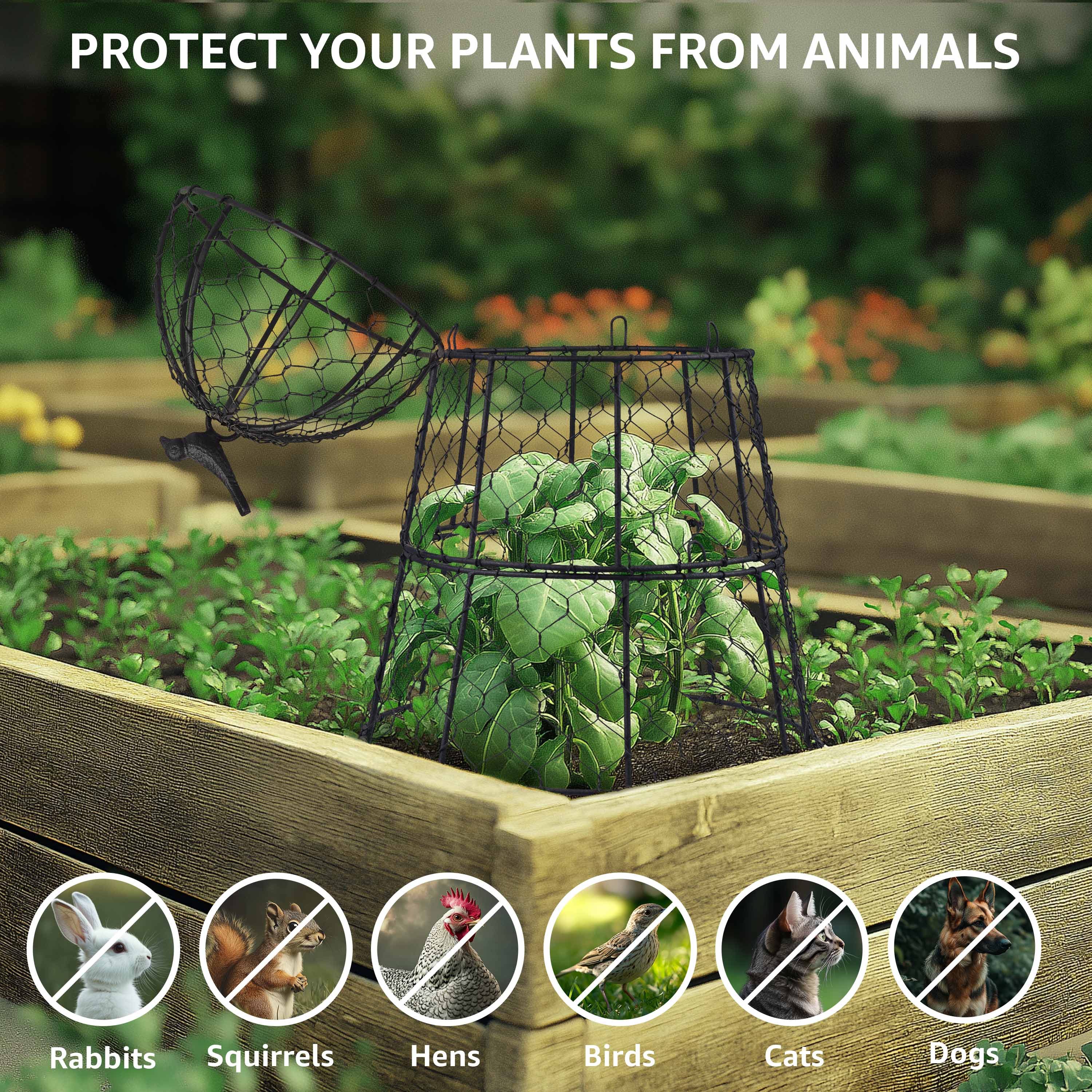 Leather Village plant protection wire cloche dome pack set